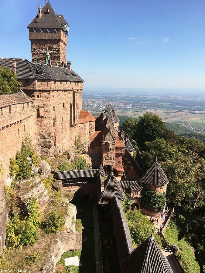 Gite Wellness Le Six H Andolsheim Esterno foto