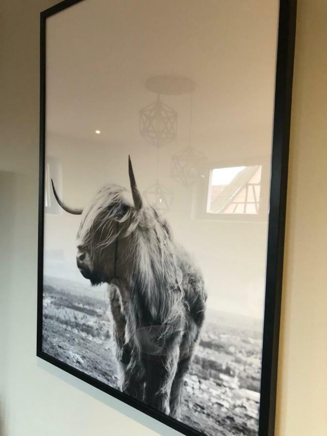 Gite Wellness Le Six H Andolsheim Esterno foto