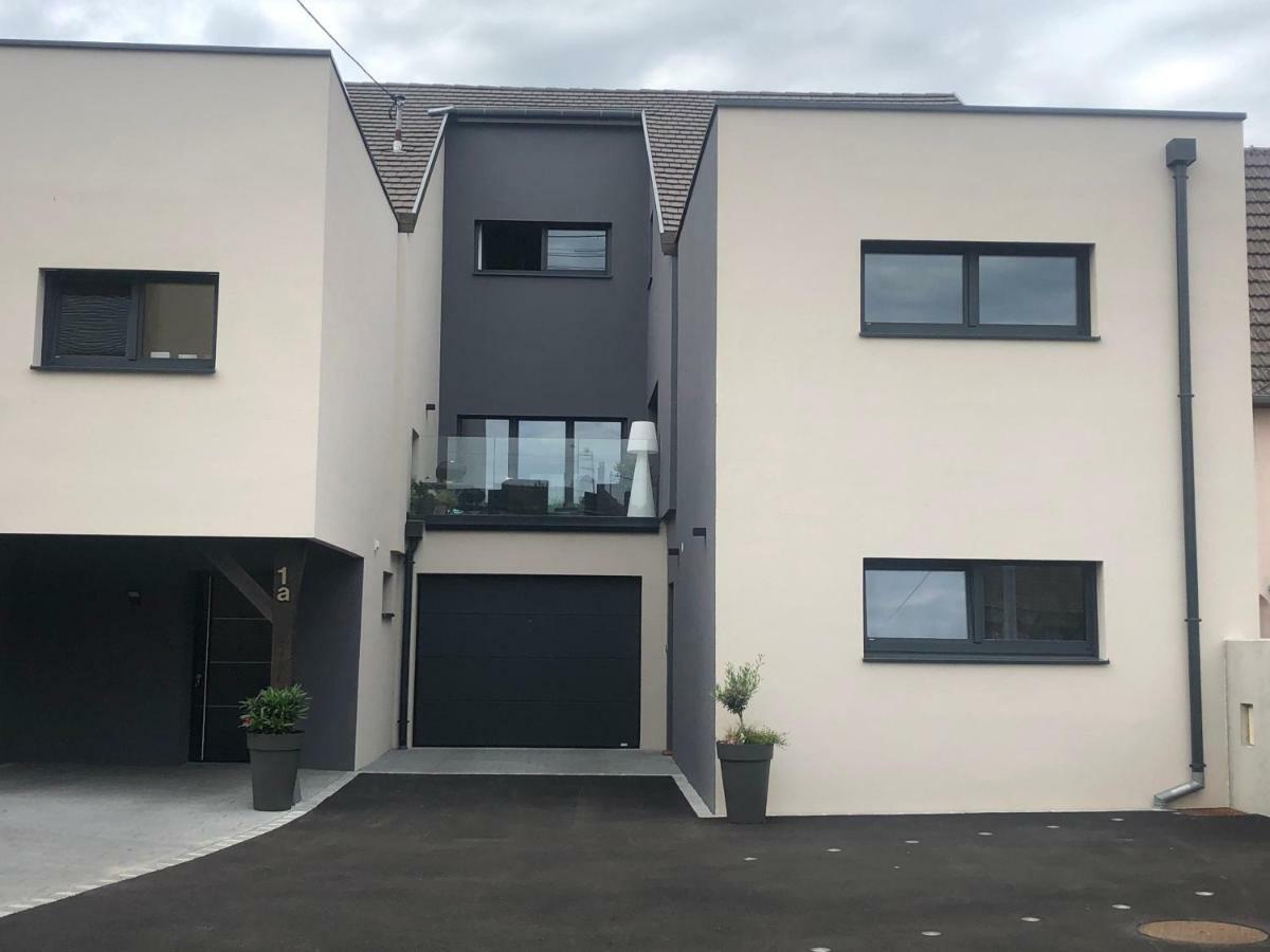 Gite Wellness Le Six H Andolsheim Esterno foto
